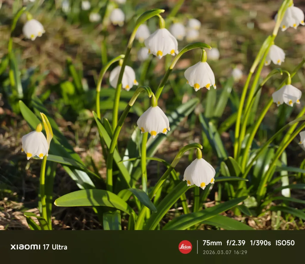 xiaomi 17 ultra fotografie porizena teleobjektivem 7