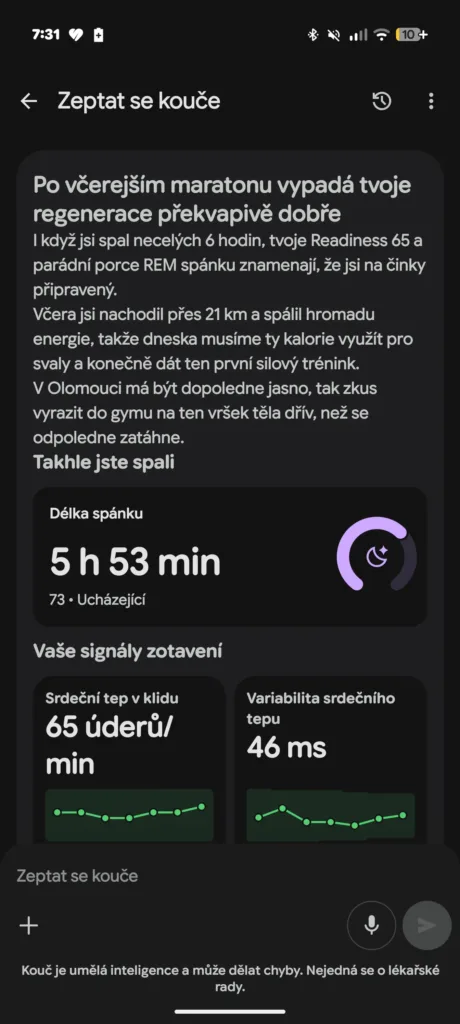 google ai coach halucinace 2