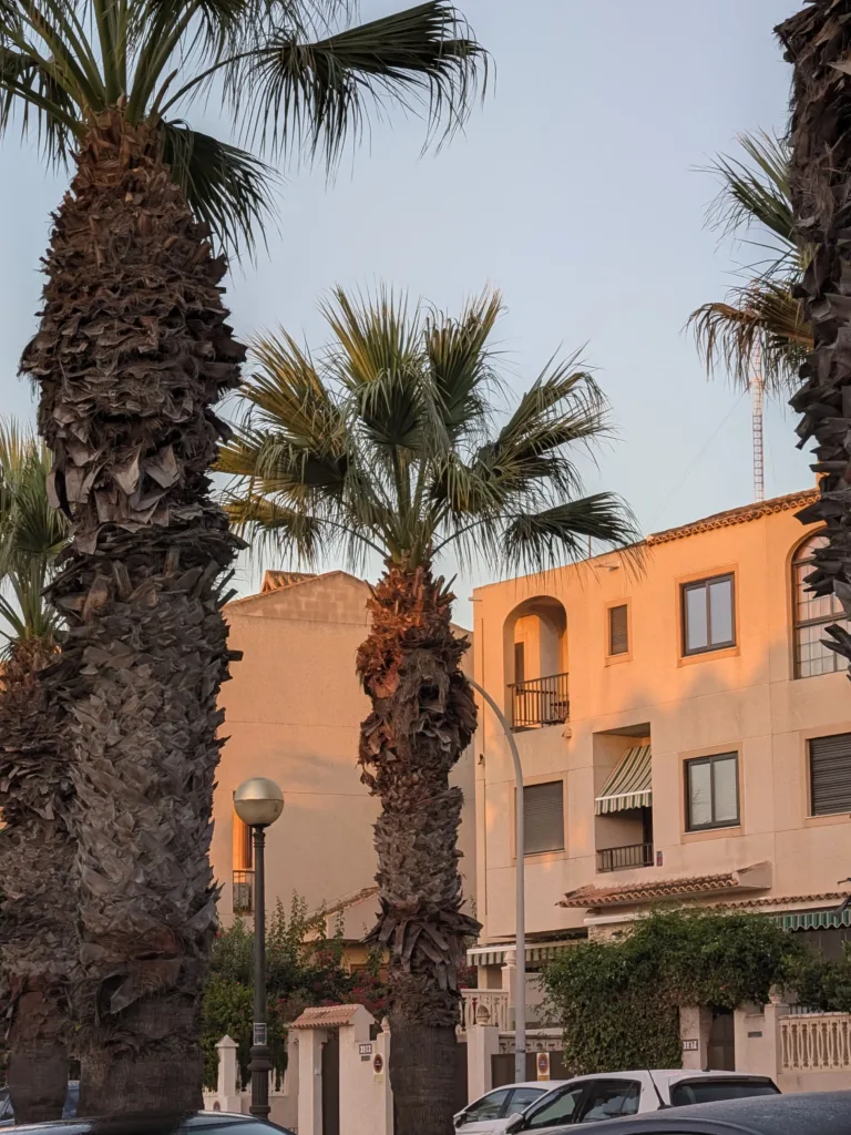 google pixel 11 fotografie ve dne 5