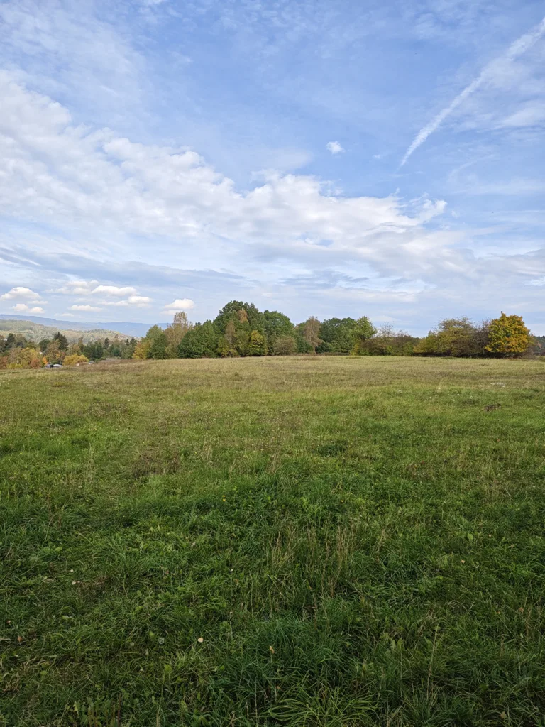 IMG 20261008 124609