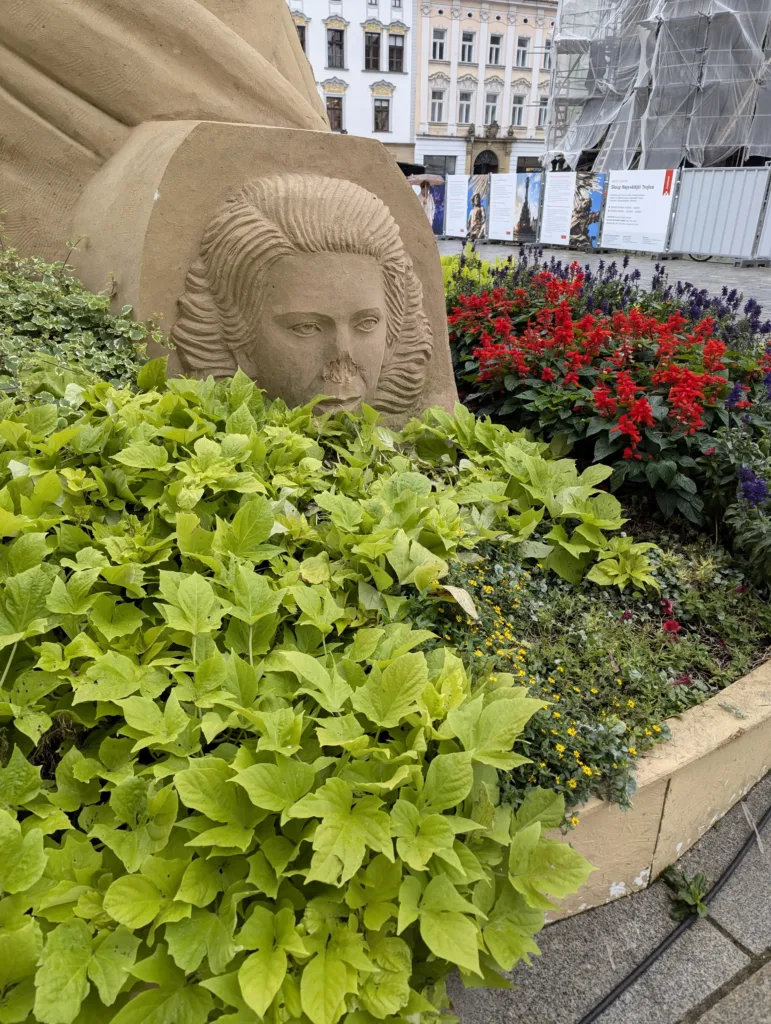 google pixel 7 pro srovnani denni fotografie hlavni objektiv 10