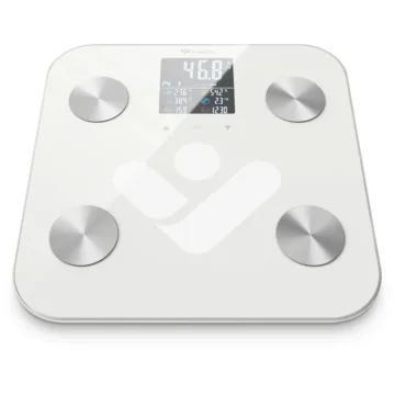 truelife fitscale w6 bt